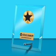 Star Glass Rectangle Award with Metal Pin