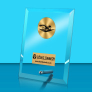 Swimming Glass Rectangle Award with Metal Pin