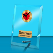 Taekwondo Glass Rectangle Award with Metal Pin