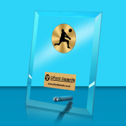 Volleyball Glass Rectangle Award with Metal Pin