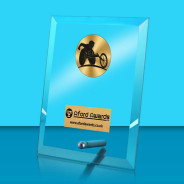 Wheelchair Sports Glass Rectangle Award with Metal Pin