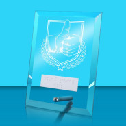 UV Colour Printed Thumbs Up Glass Rectangle Award with Metal Pin