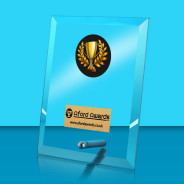 Winner Glass Rectangle Award with Metal Pin
