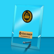 Winner Glass Rectangle Award with Metal Pin