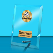 Wrestling Glass Rectangle Award with Metal Pin