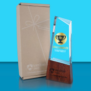 Colour Printed 'GreenVision'  Clear Glass Obelisk Award with Wood Base