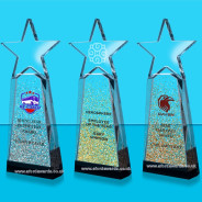 Houston Crystal Star Shimmer Award