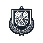 Colour Printed Darts Shield Shaped Medal