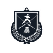 Colour Printed Martial Arts Shield Shaped Medal