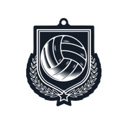 Colour Printed Volleyball Shield Shaped Medal