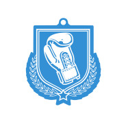 Colour Printed Boxing Shield Shaped Medal