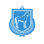 Colour Printed Equestrian Shield Shaped Medal