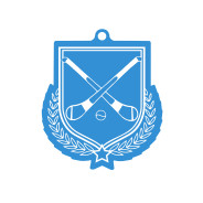 Colour Printed Hurling Shield Shaped Medal