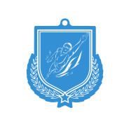 Colour Printed Swimming Shield Shaped Medal