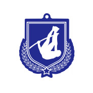 Colour Printed Pole Vault Shield Shaped Medal