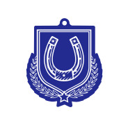 Colour Printed Horse Shoes Shield Shaped Medal