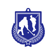 Colour Printed Hockey Shield Shaped Medal