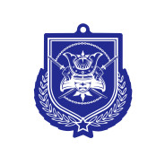 Colour Printed Martial Arts Shield Shaped Medal