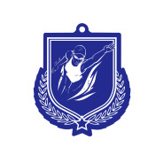 Colour Printed Swimming Shield Shaped Medal