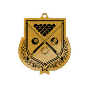 Colour Printed Pool Shield Shaped Medal