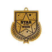 Colour Printed Star of the Week Shield Shaped Medal