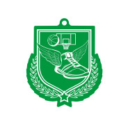 Colour Printed Basketball Shield Shaped Medal