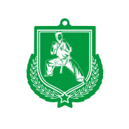 Colour Printed Karate Shield Shaped Medal