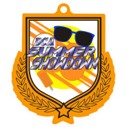Colour Printed Orange Shield Shaped Medal