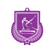 Colour Printed Gymnastics Pommel Horse Shield Shaped Medal