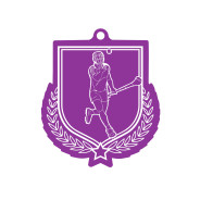 Colour Printed Hurling Shield Shaped Medal