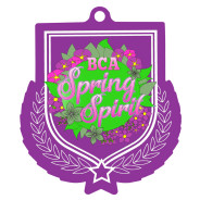 Colour Printed Purple Shield Shaped Medal