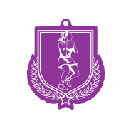 Colour Printed Netball Shield Shaped Medal
