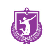 Colour Printed Volleyball Shield Shaped Medal