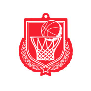 Colour Printed Basketball Shield Shaped Medal