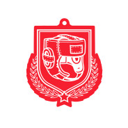 Colour Printed Boxing Shield Shaped Medal