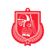 Colour Printed Cricket Shield Shaped Medal