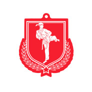 Colour Printed Karate Shield Shaped Medal