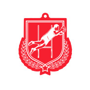 Colour Printed Rugby Player Shield Shaped Medal