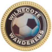 Steel Badge 