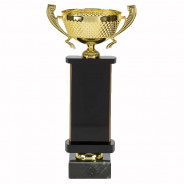 SILVER AND RED LASER CUP QUEST TROPHY AWARD CUP 5 SIZES FREE ENGRAVING 