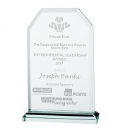 Jade Executive Crystal Award