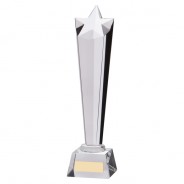 Liberty Star Optical Crystal Award