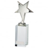 Endeavour Star Silver Crystal Award