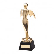 Aspiration Achievement Gold Award
