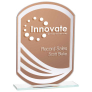 Argon Mirrored Glass Award Bronze 