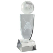 Reflex Pool Crystal Award 