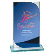Seismic Multisport Mirror Glass Award Blue & Silver