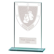 Millennium Boxing Jade Glass Award