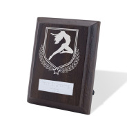UV Colour Printed Dance Walnut Plaque with Strut