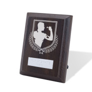 UV Colour Printed Darts Walnut Plaque with Strut